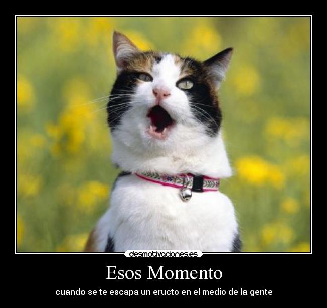 Esos Momento - cuando se te escapa un eructo en el medio de la gente