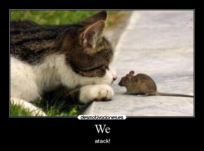 carteles system down desmotivaciones