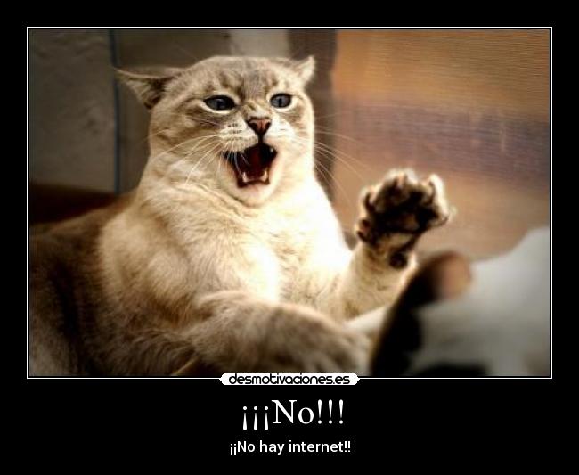 ¡¡¡No!!! - ¡¡No hay internet!!