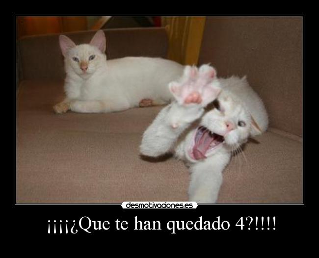 ¡¡¡¡¿Que te han quedado 4?!!!! - 