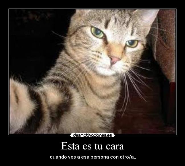 Esta es tu cara -