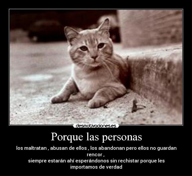 Porque las personas - los maltratan , abusan de ellos , los abandonan pero ellos no guardan rencor ,
siempre estarán ahí esperándonos sin rechistar porque les importamos de verdad