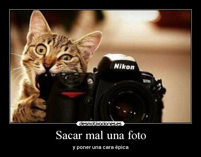 Sacar mal una foto -