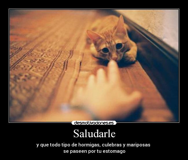 Saludarle - y que todo tipo de hormigas, culebras y mariposas
se paseen por tu estomago