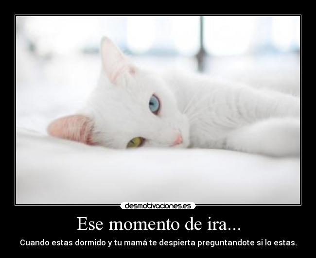 Ese momento de ira... - 