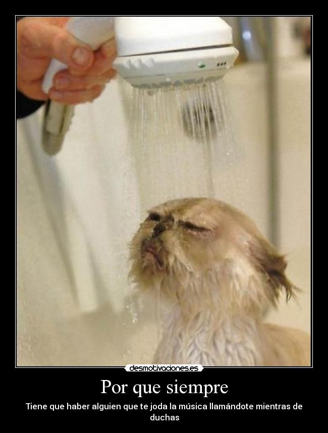 Por que siempre - Tiene que haber alguien que te joda la música llamándote mientras de duchas