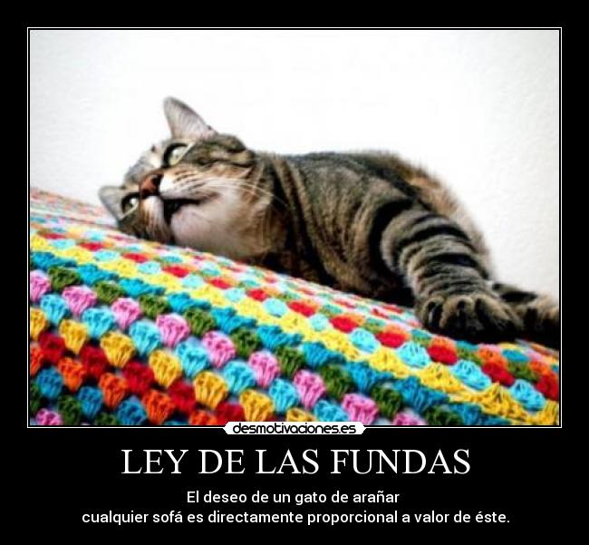 LEY DE LAS FUNDAS - El deseo de un gato de arañar 
cualquier sofá es directamente proporcional a valor de éste.
