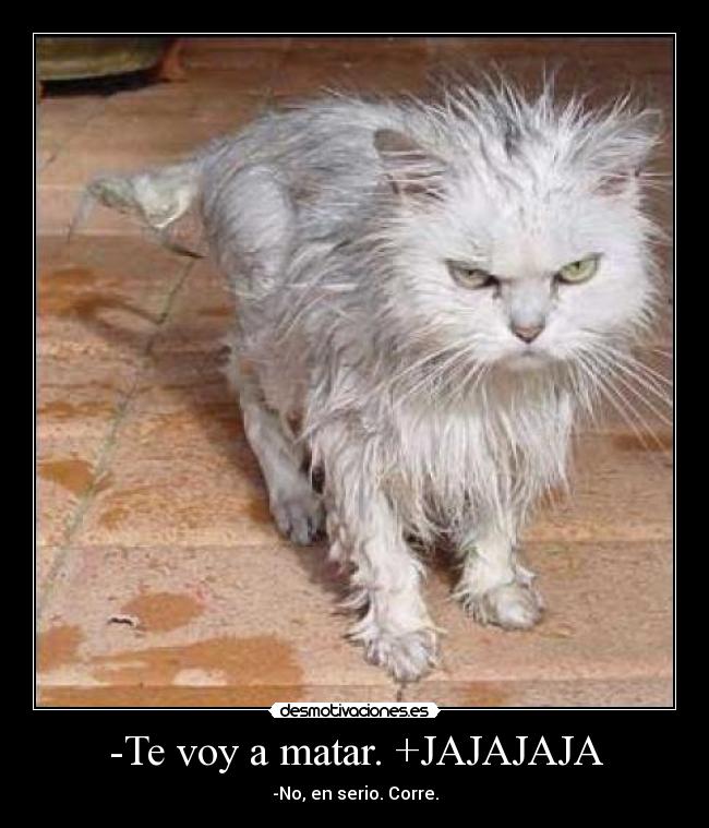 -Te voy a matar. +JAJAJAJA - -No, en serio. Corre.