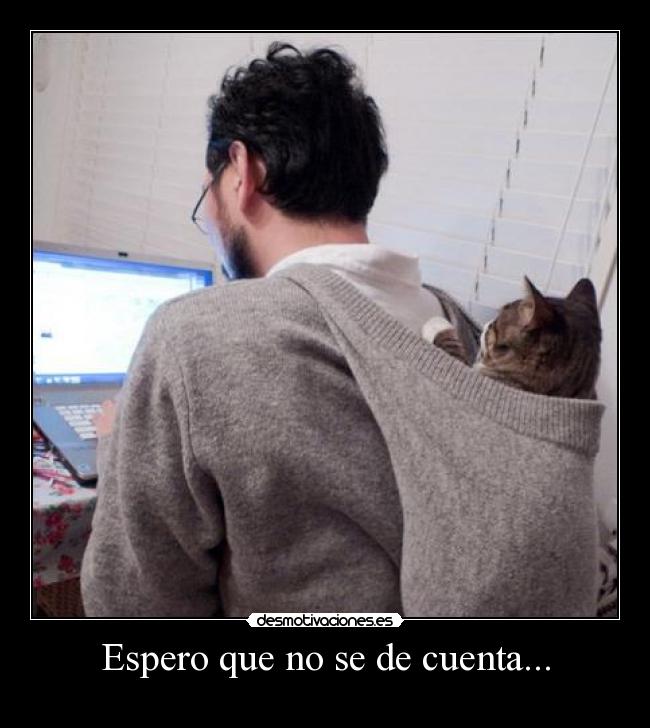 Espero que no se de cuenta... -