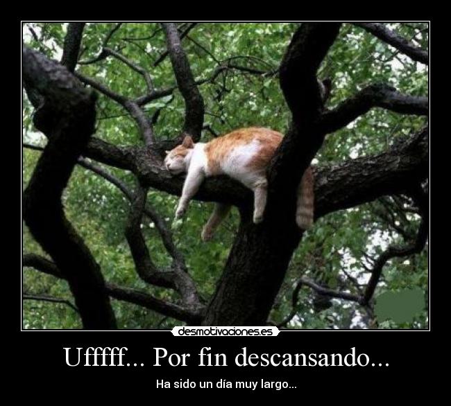 Ufffff... Por fin descansando... - Ha sido un día muy largo...