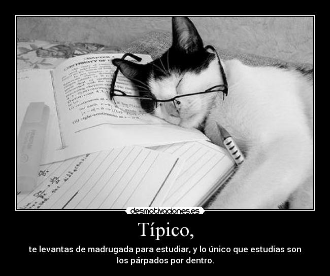 Típico, - te levantas de madrugada para estudiar, y lo único que estudias son
los párpados por dentro.