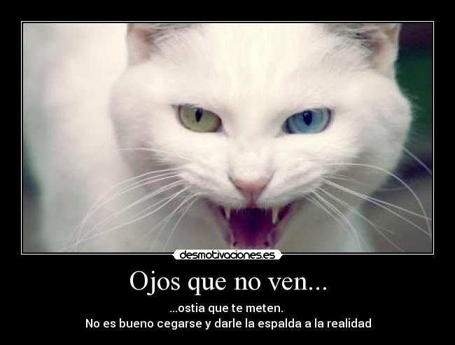 Ojos que no ven... - ...ostia que te meten.
No es bueno cegarse y darle la espalda a la realidad