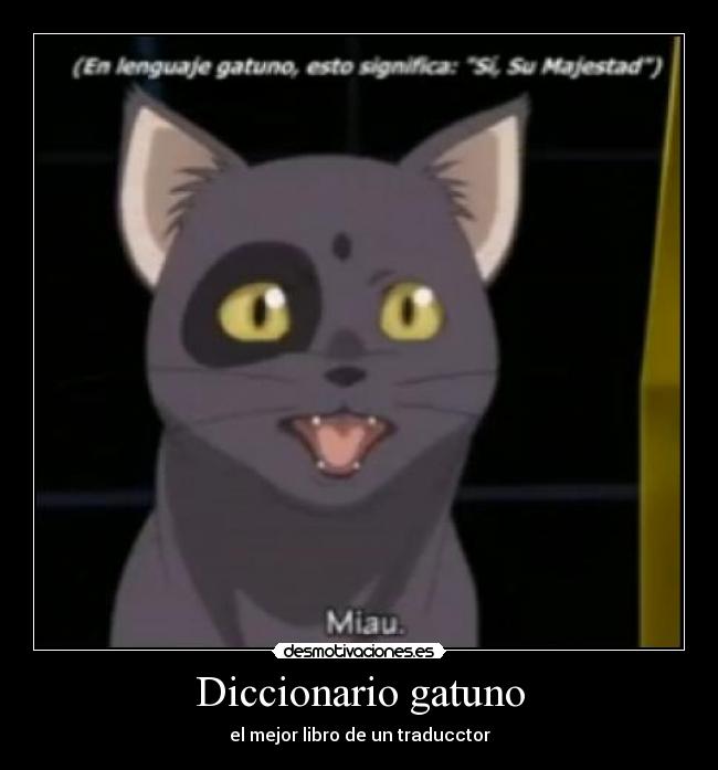 Diccionario gatuno carteles gato code geass si su majestad miau desmotivaciones