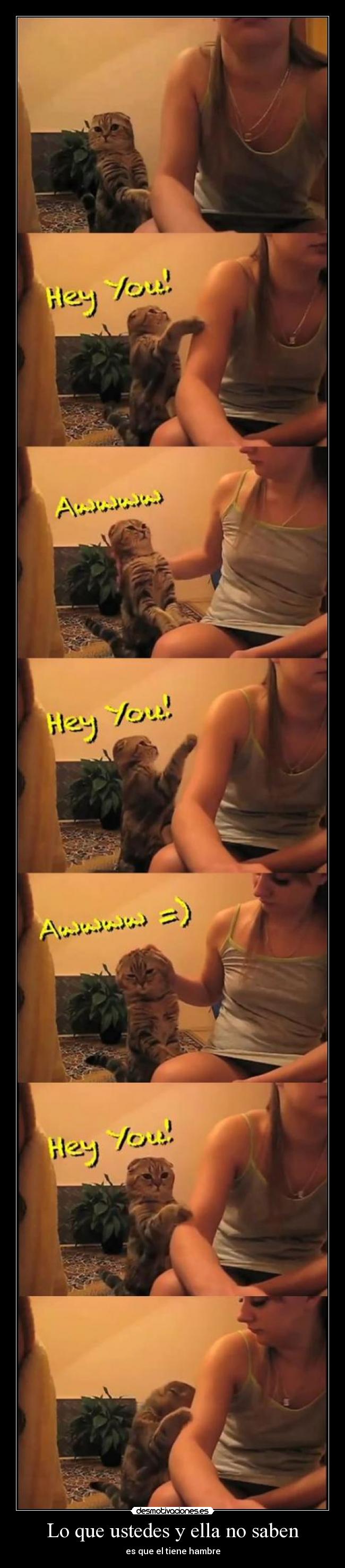 Lo que ustedes y ella no saben - 