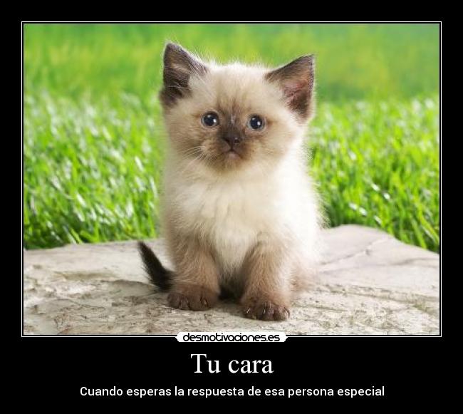 Tu cara - Cuando esperas la respuesta de esa persona especial