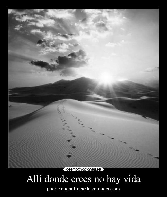 carteles vida dreadk amo preciosaaaaaaaaaaaaaaaaaaa dos puntitos3 eres paz desmotivaciones