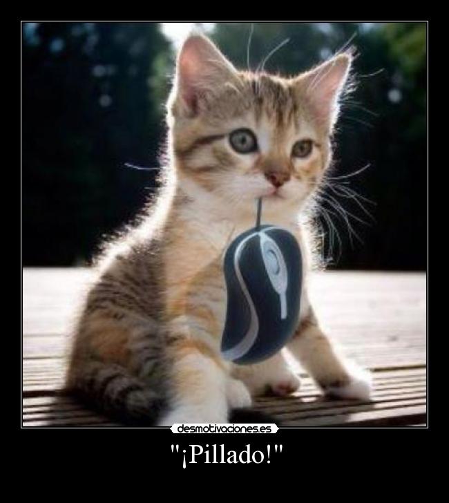 ¡Pillado! - 