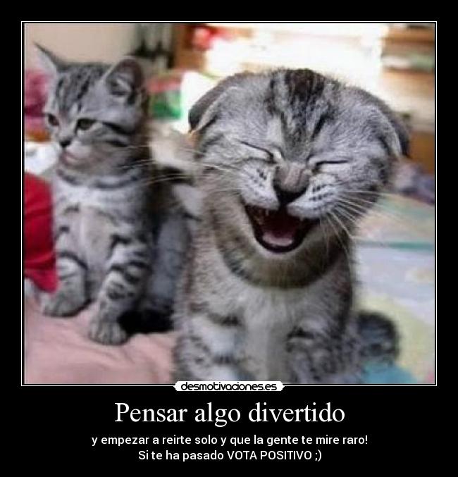 carteles risa gatos amigos amistad pensar divertido positivo voto reirte reir desmotivaciones