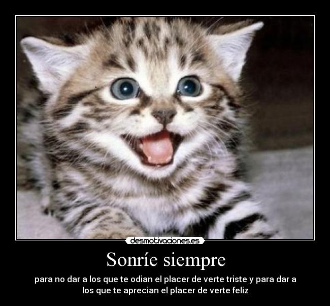 Sonríe siempre - para no dar a los que te odian el placer de verte triste y para dar a
los que te aprecian el placer de verte feliz