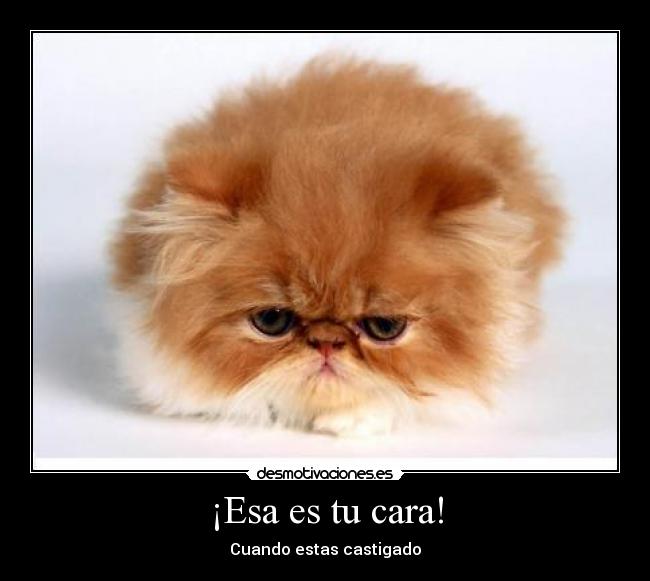 ¡Esa es tu cara! - Cuando estas castigado