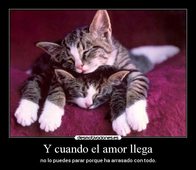 Y cuando el amor llega -