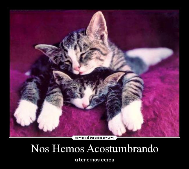 Nos Hemos Acostumbrando - a tenernos cerca