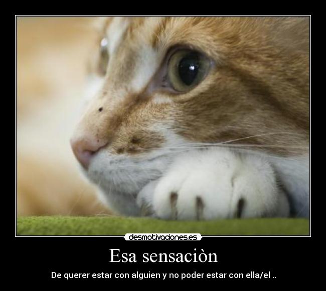 Esa sensaciòn - De querer estar con alguien y no poder estar con ella/el ..