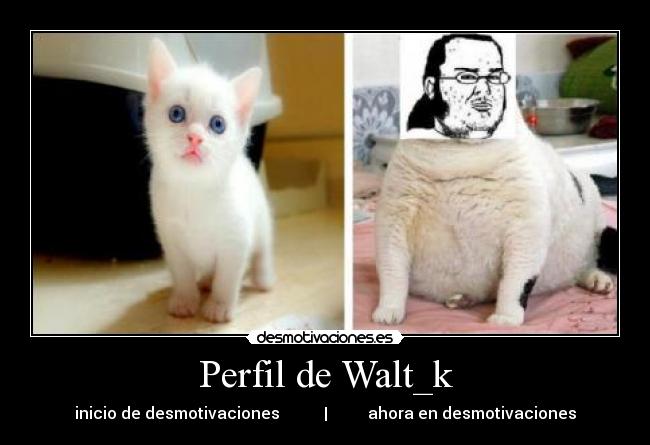 Perfil de Walt_k - inicio de desmotivaciones | ahora en desmotivaciones