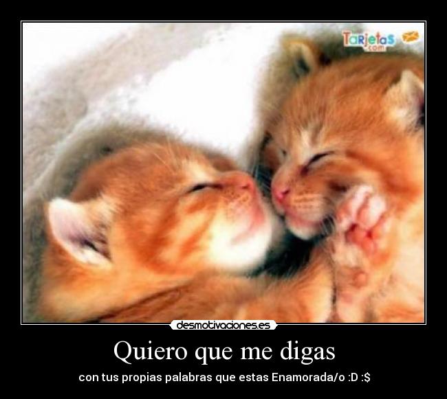Quiero que me digas - con tus propias palabras que estas Enamorada/o :D :$