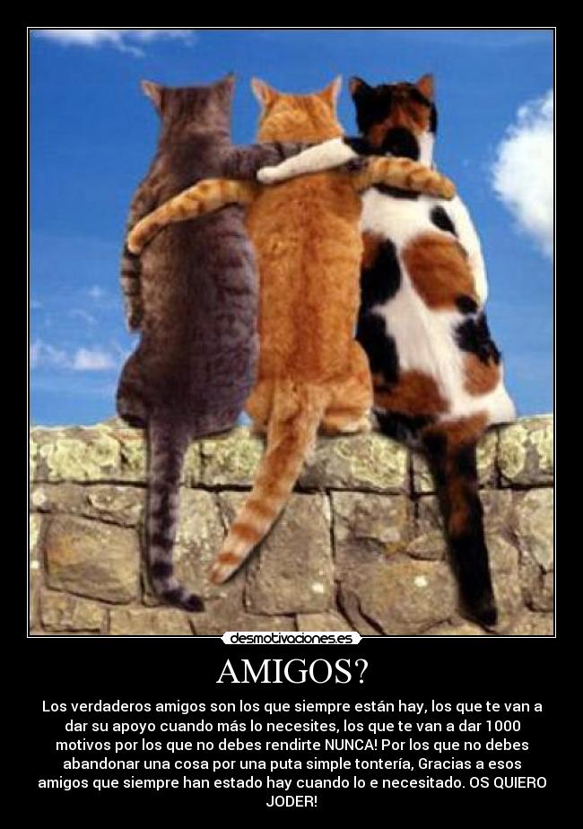 AMIGOS? - Los verdaderos amigos son los que siempre están hay, los que te van a
dar su apoyo cuando más lo necesites, los que te van a dar 1000
motivos por los que no debes rendirte NUNCA! Por los que no debes
abandonar una cosa por una puta simple tontería, Gracias a esos
amigos que siempre han estado hay cuando lo e necesitado. OS QUIERO
JODER!