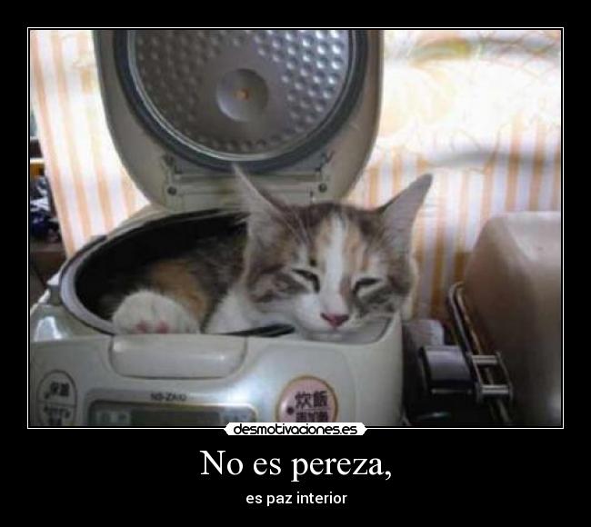 No es pereza, -