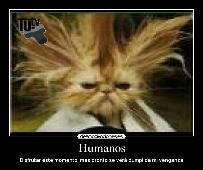 Humanos - Disfrutar este momento, mas pronto se verá cumplida mi venganza