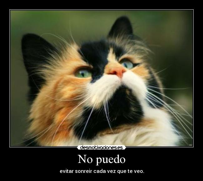 No puedo - evitar sonreir cada vez que te veo.