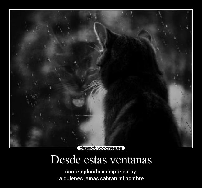 Desde estas ventanas -