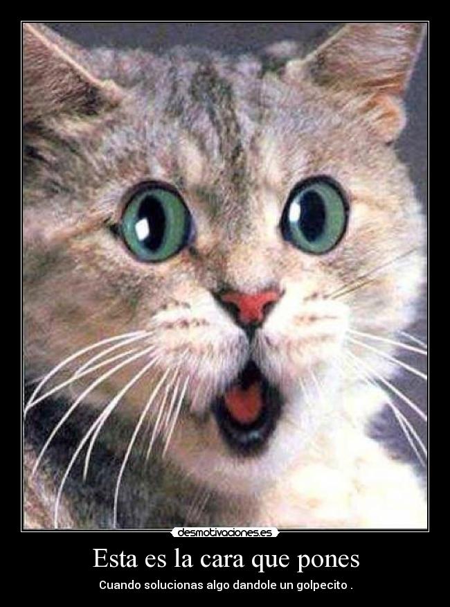 Esta es la cara que pones - Cuando solucionas algo dandole un golpecito .