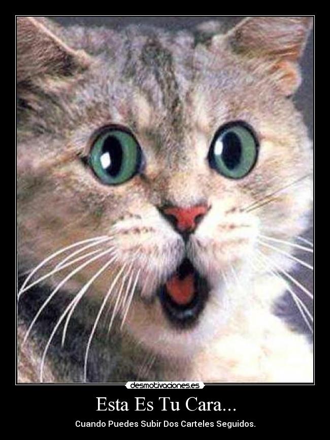 Esta Es Tu Cara... - Cuando Puedes Subir Dos Carteles Seguidos.