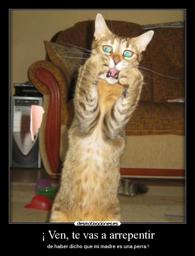 ¡ Ven, te vas a arrepentir -