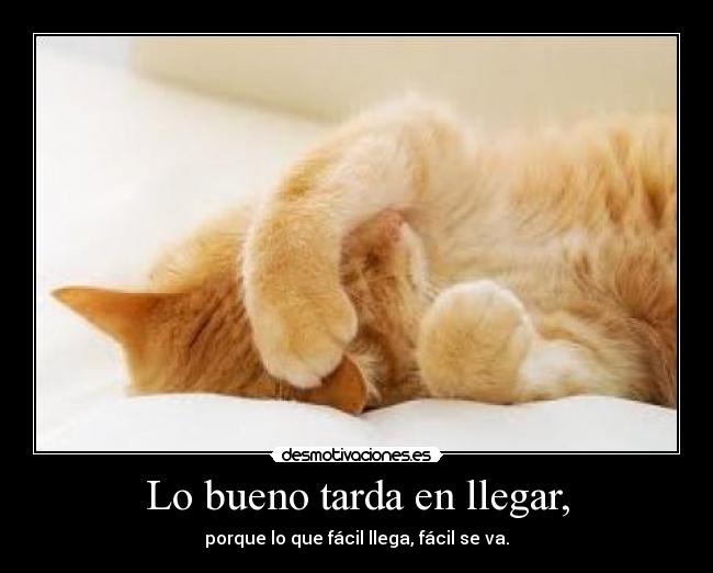 Lo bueno tarda en llegar, - 