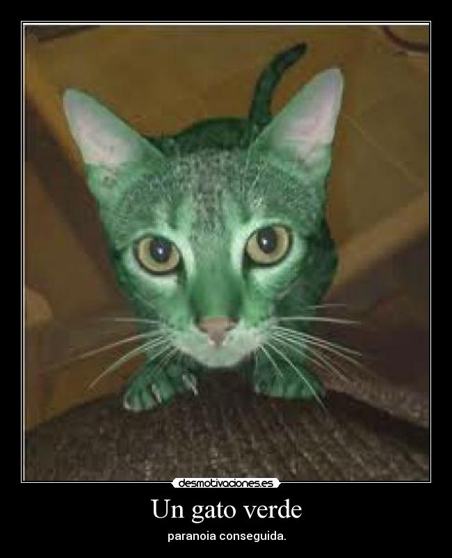 Un gato verde - 