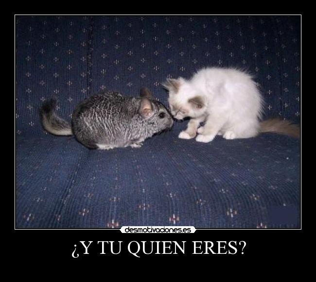 ¿Y TU QUIEN ERES? -