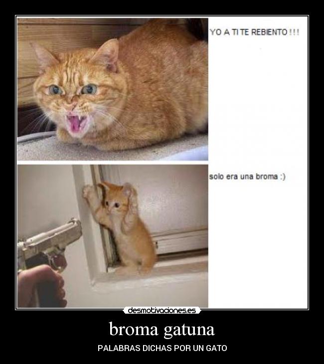 broma gatuna -
