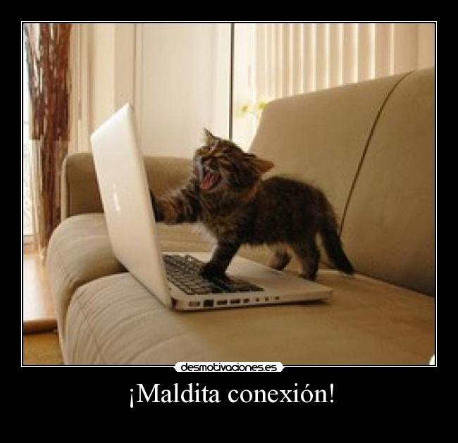 ¡Maldita conexión! -