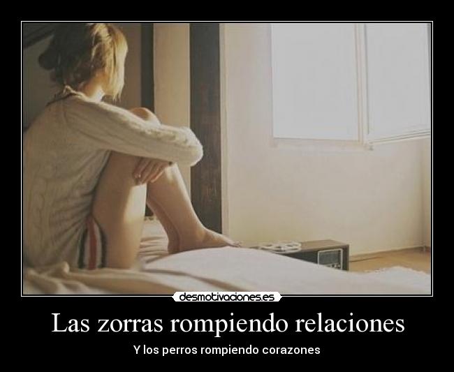 Las zorras rompiendo relaciones -
