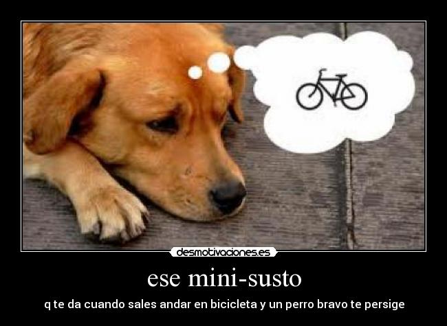 ese mini-susto - q te da cuando sales andar en bicicleta y un perro bravo te persige