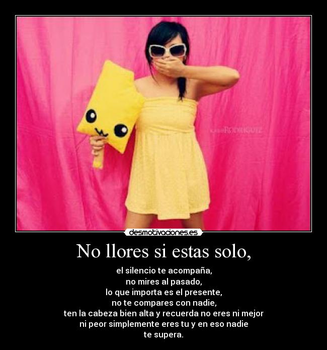 carteles soledad muchas veces vuelve mejor amigo desmotivaciones