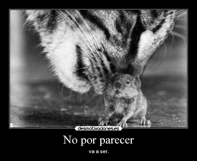 No por parecer -