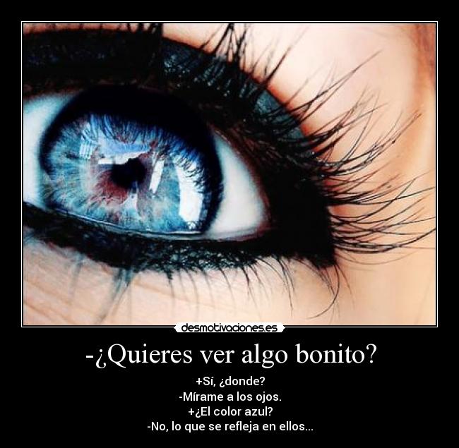 -¿Quieres ver algo bonito? -