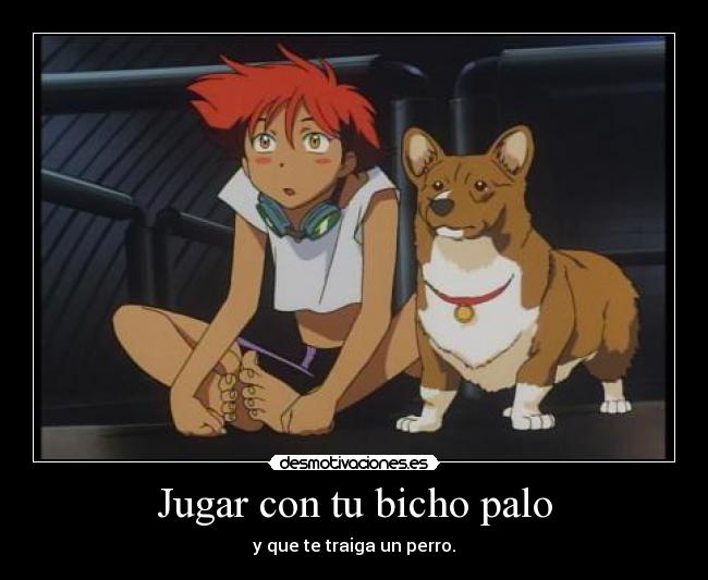 Jugar con tu bicho palo - y que te traiga un perro.
