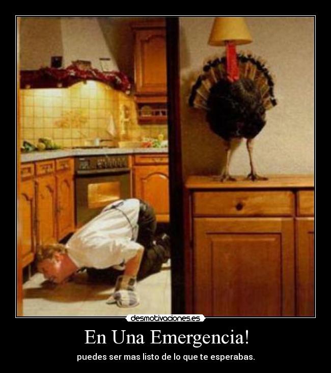 carteles pavo emergencia desmotivaciones