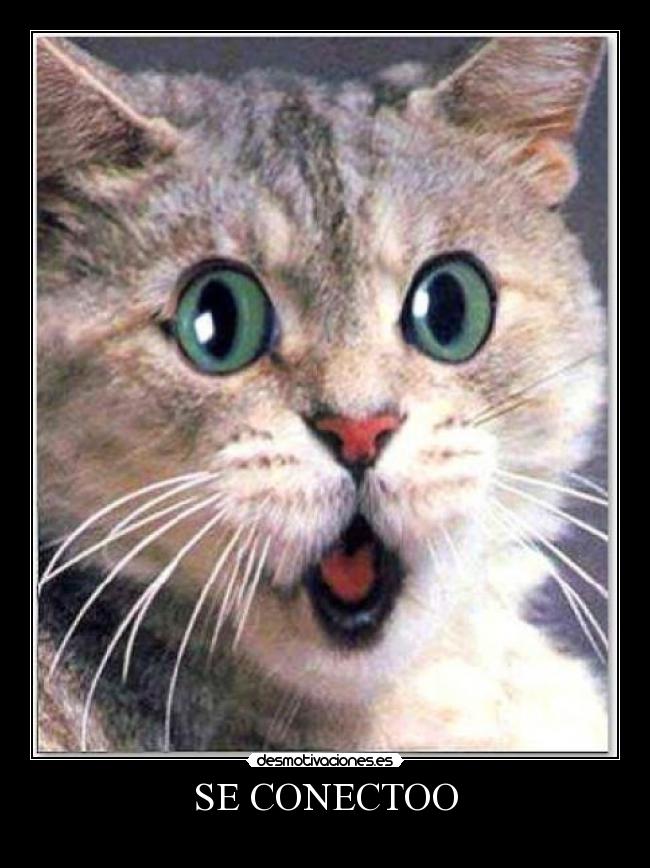 SE CONECTOO -